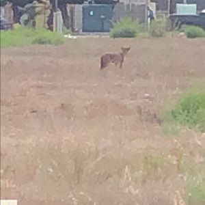 Meet your Posher, Mayra